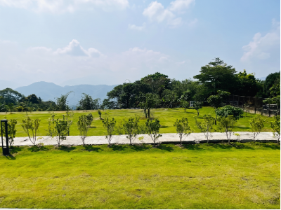 戶外草地示意圖
